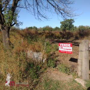 Lote 72-D
