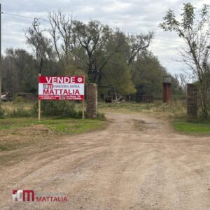 TERRENO – 6,5 hectáreas