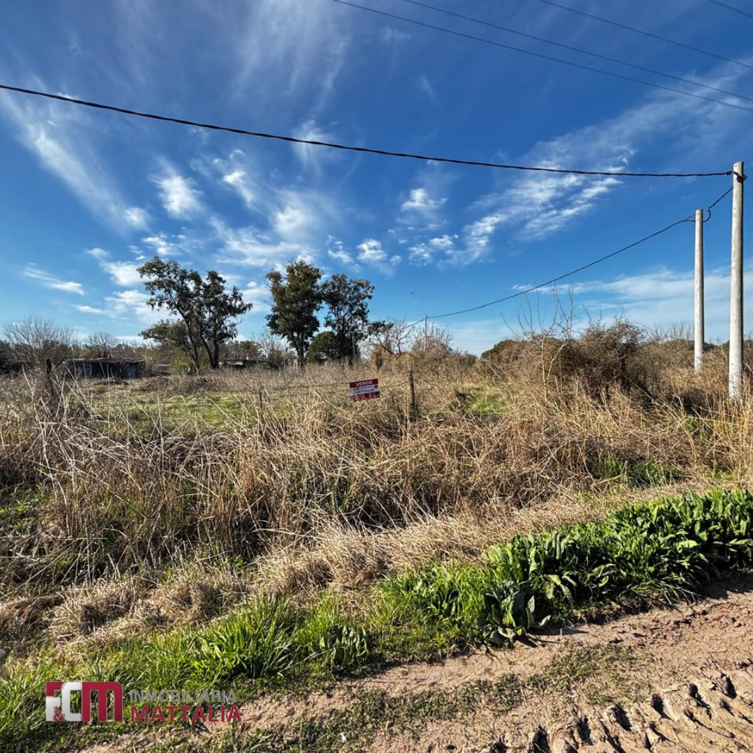 TERRENO LANDETA - Imagen 3