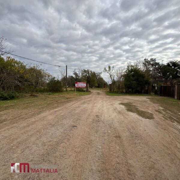 TERRENO – 6,5 hectáreas - Imagen 2