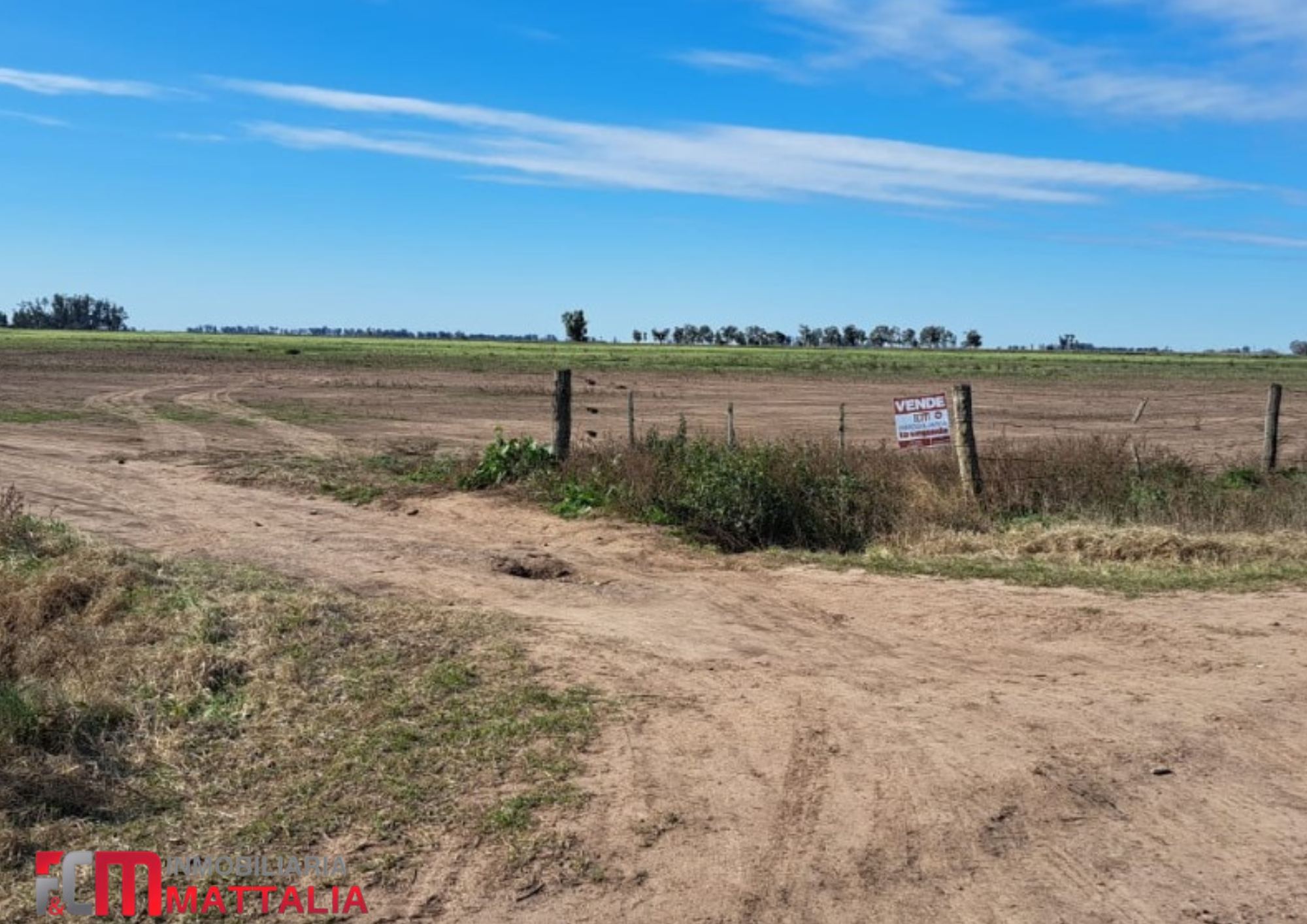 CAMPO - CENTENO - Imagen 3