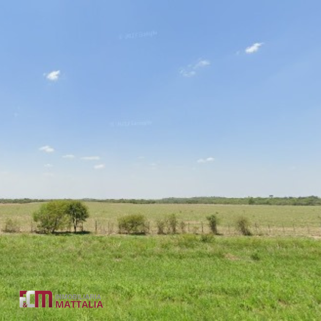 CAMPO - ROSARIO DE LA FRONTERA - Imagen 3