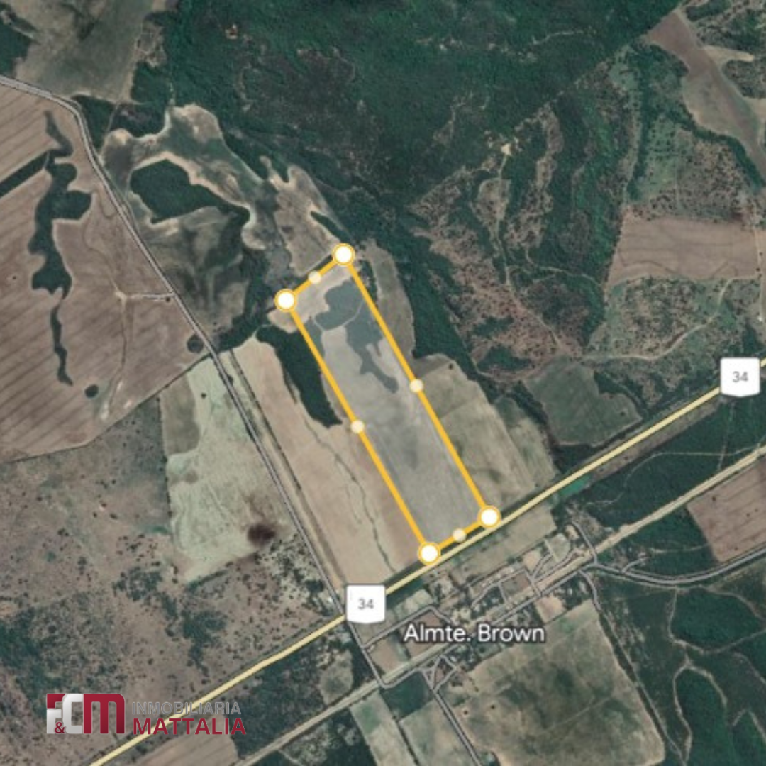 CAMPO - ROSARIO DE LA FRONTERA - Imagen 2